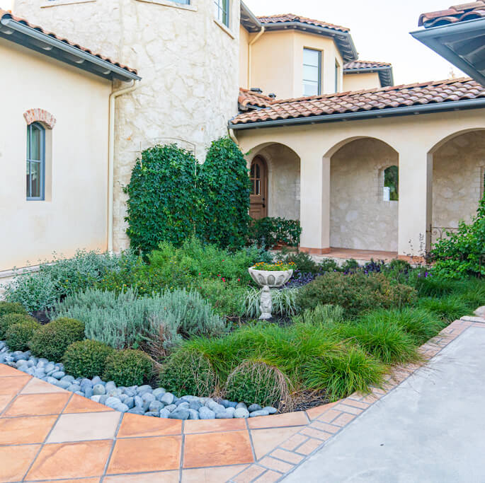 Courtyard filled with a diverse set of plants and shrubs varying in colors, heights and structures