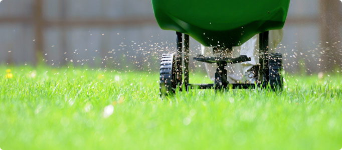 Agave Ld Lawn Care In Austin And Round, Round Rock Lawn Mowing Service